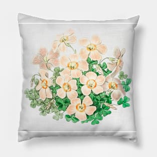 Vintage Piotta's oxalis flower branch Pillow