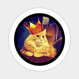 OllieBear - the cutest kitty King of the Castle Magnet