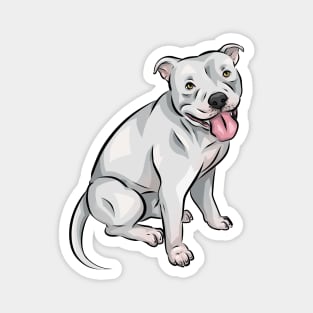 Cute White American Bully Dog Magnet