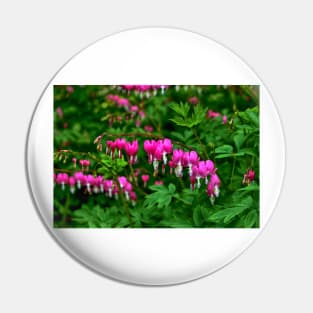 Bleeding Heart Flowers Pin