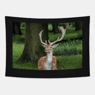 Fallow Deer Tapestry