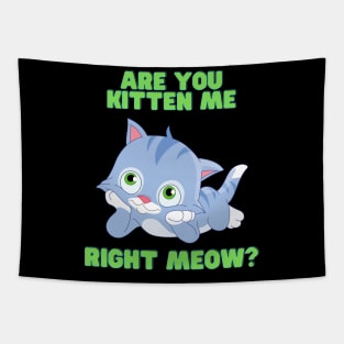 Are you kitten me right meow, Are You Kitten Meow, cat, Kitty, kitten, animal, pet, funny, cute, humorous, humour, funny cats, cute cats Tapestry