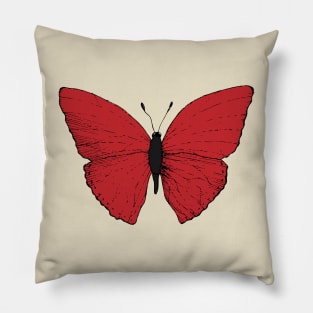 Big beautiful red butterfly. Pillow