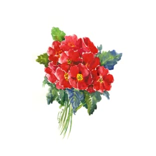 Red Primula Flowers T-Shirt