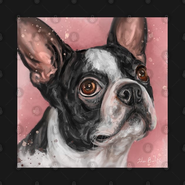 Contemporary Painting of a Cute Boston Terrier on Pink Background by ibadishi