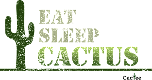 Eat Sleep Cactus Repeat Magnet