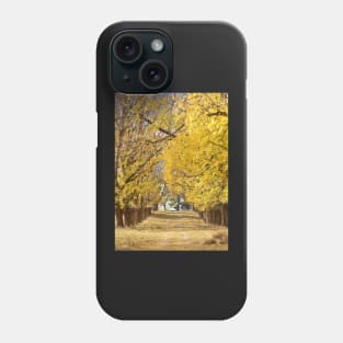 The Long Driveway in Autumn / Fall Phone Case