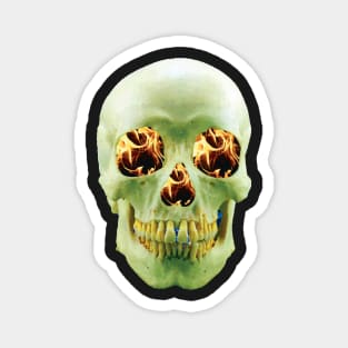 Skull with eyes of fire Magnet