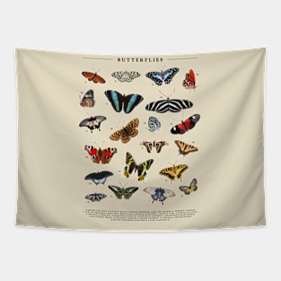 Vintage Butterfly Chart Tapestry