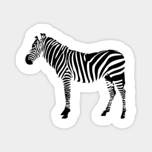 zebra Safari wild animal Magnet