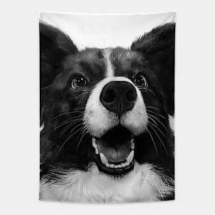 Who's a Good Dog? Tapestry