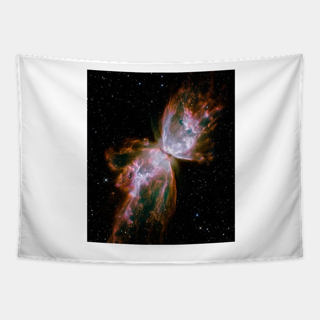 Butterfly planetary nebula, HST image (C021/9253) Tapestry by SciencePhoto