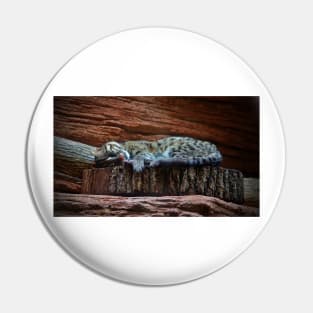 Black Footed Cat Pin