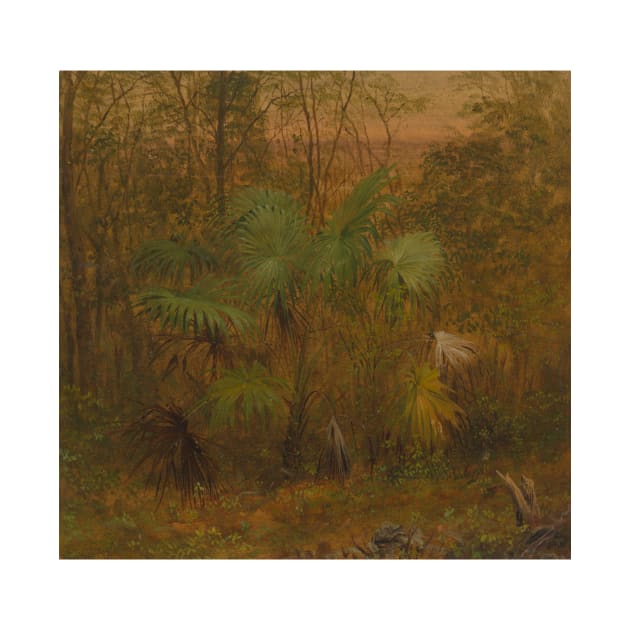 Thatch Palm, Jamaica by Frederic Edwin Church by Classic Art Stall