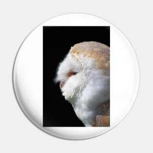 Barn Owl Pin