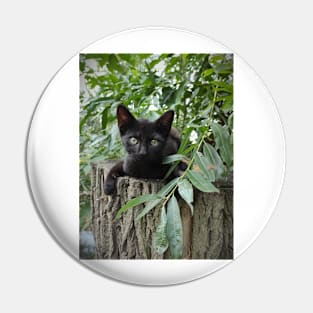 Cat Paule in the pasture Pin