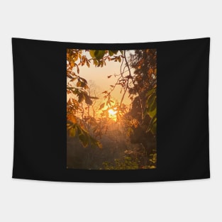 gmtrx lawal nature photos 23112021 Tapestry