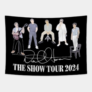 Niall Horan Tour Tapestry