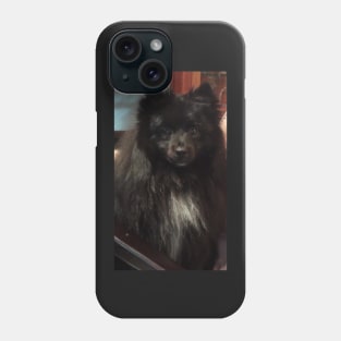 Pom Repose 3 Phone Case