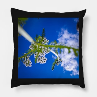 View of the sky from a plant's point of view Pillow