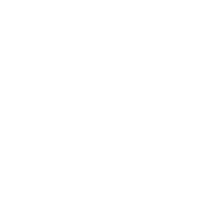 Diagram of a Blunderbuss Magnet