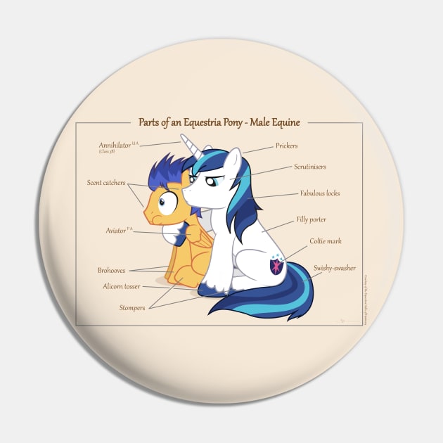 Pony Anatomy - Male Equine Pin by judacris