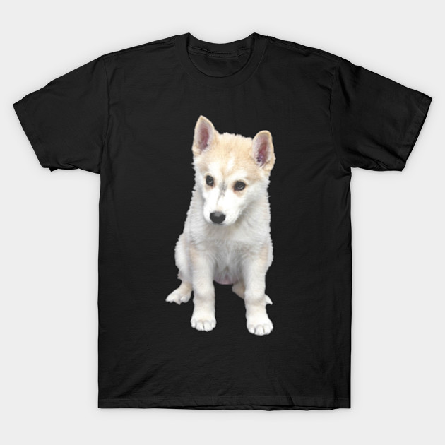 Dog Baby Canvas Optics Dog Fan Puppies Dog Lovers Dogs Puppy