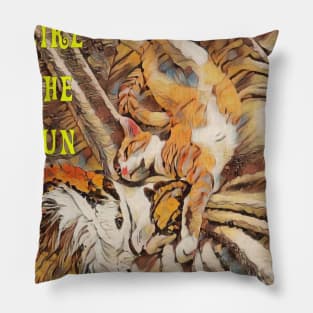 Radiating Like the Sun Cuddling Cats Cute Art Pillow