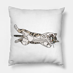 Kitten Playing on Back Pillow