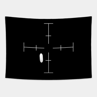 UAP, UFO, UFO sighting TIC FLIR Tapestry