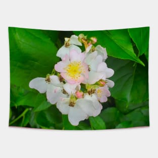 Wild Multiflora Rose Tapestry