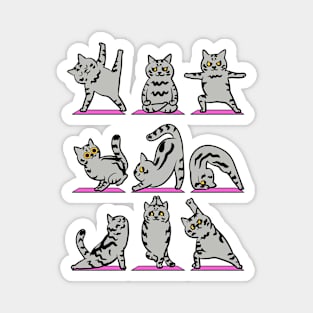 American Shorthair Yoga Magnet