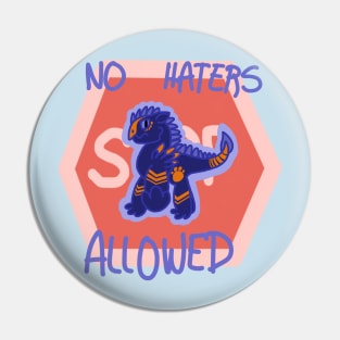 No Haters Allowed Pin