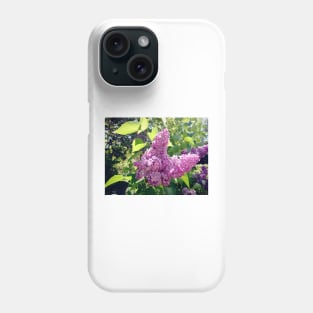 Lilacs bloom Phone Case