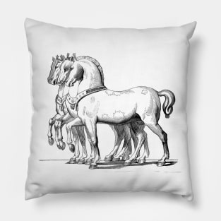 Classic and monumental artistic horses Pillow