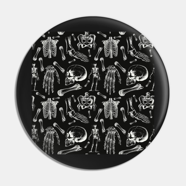 Vintage Anatomy Drawings Black And White Pin by TGSC