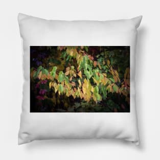 Autumn Colours all together Pillow