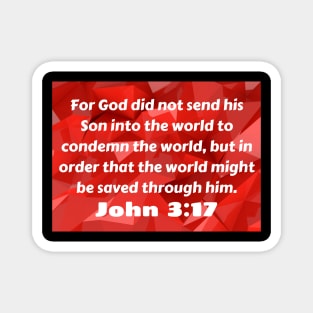 Bible Verse John 3:17 Magnet