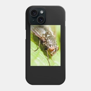 FLY IN THE OINTMENT Phone Case