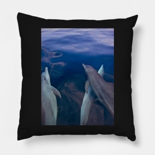 INQUISITIVE CREATURES Pillow