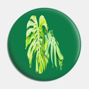 Monstera Artistic Leaf Cut Out Pin