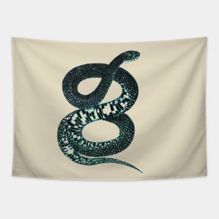 serpent,cobra,reptile,viper,venom,lizard,rattlesnake,king cobra Tapestry