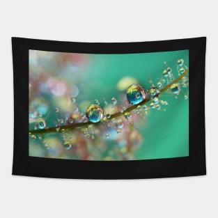 Smokey Rainbow Drops Tapestry