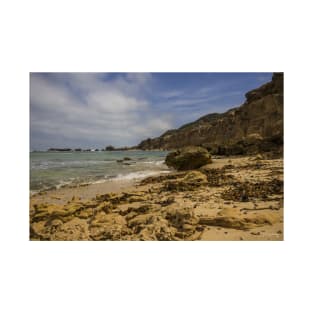 Fingal Beach, Cape Schanck, Mornington Peninsula, Victoria, Australia. T-Shirt