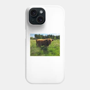 Scottish Highland Cattle Bull 2413 Phone Case