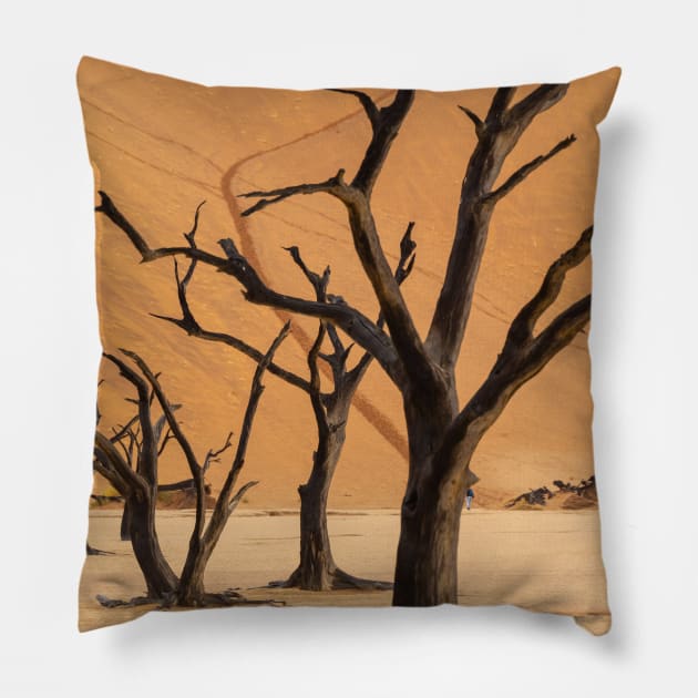 Namibia. Namib-Naukluft National Park. Deadvlei. Dead Trees. Dunes. Pillow by vadim19