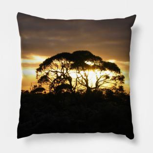 Mundrabilla Morning Pillow