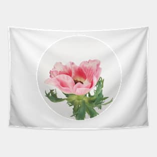 Pink Anemone Tapestry