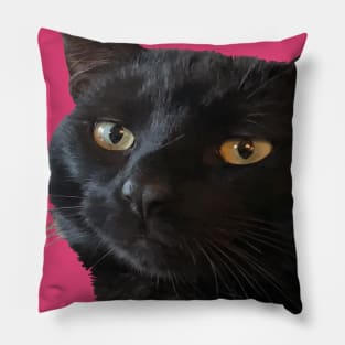 Black Cat With A Funny Quirky Expression Cut Out Pillow