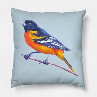 Baltimore Oriole - bird painting (no background) Pillow